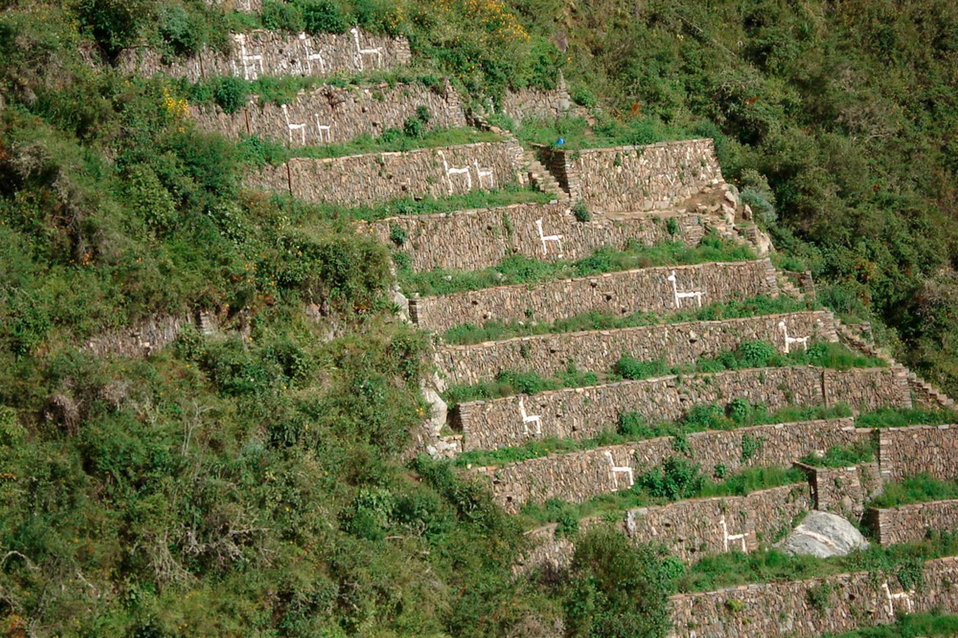 choquequirao trek