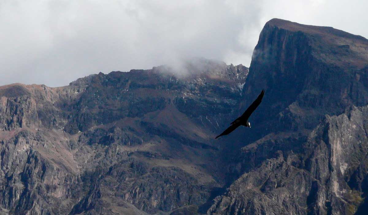 colca canyon