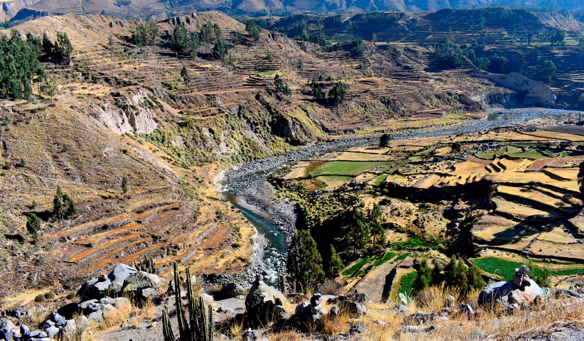 colca canyon