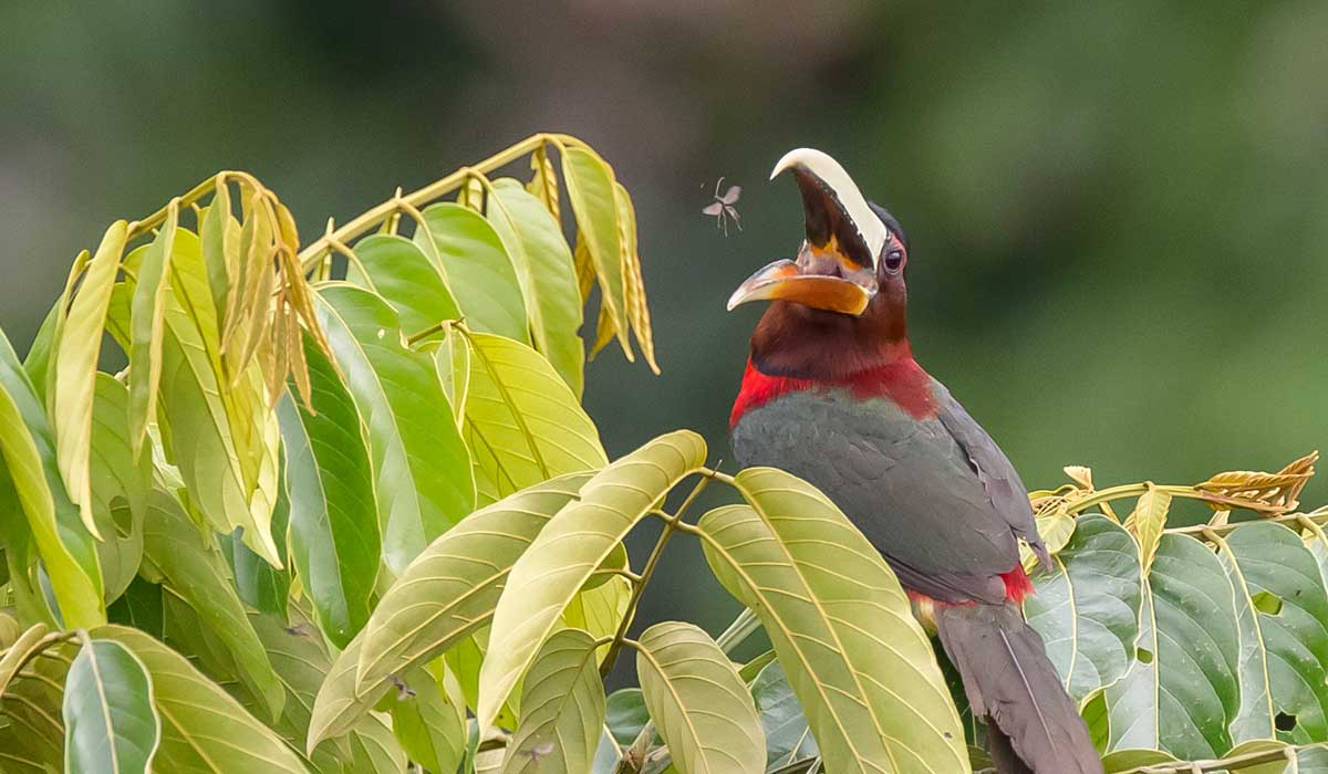 puerto maldonado