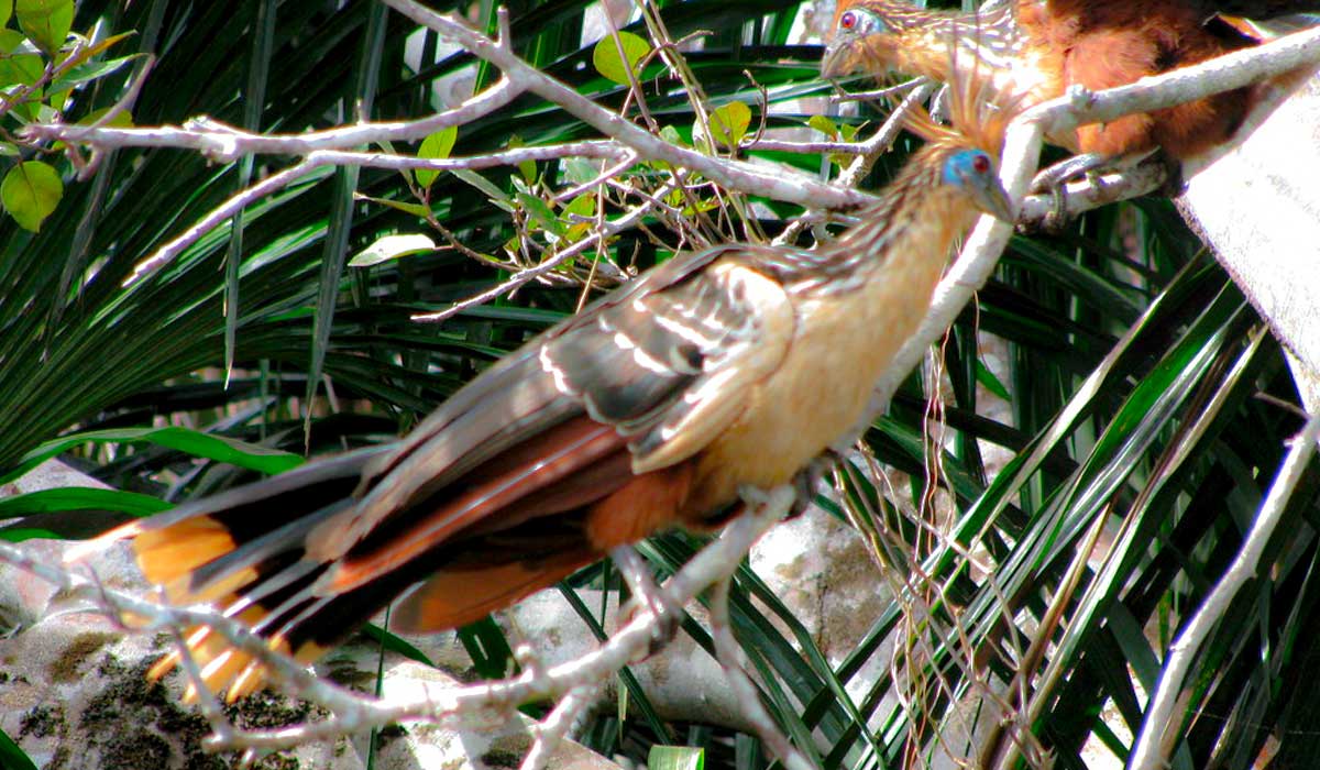 puerto maldonado